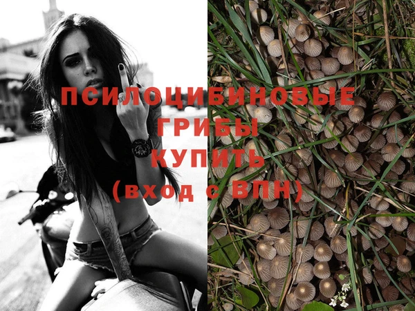 ешки Баксан