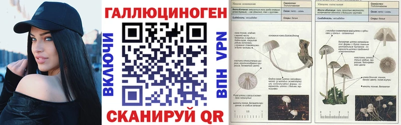 Псилоцибиновые грибы мицелий  гидра ссылка  Гудермес  купить наркотик 