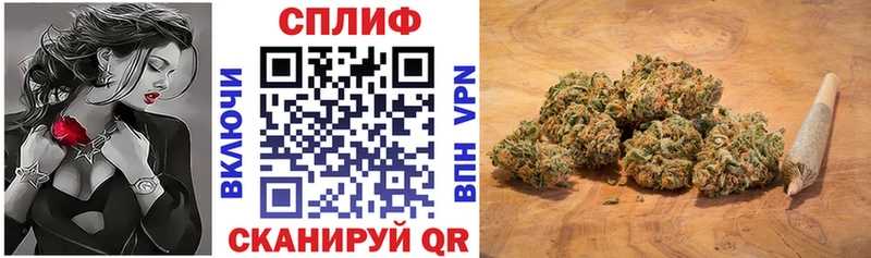купить наркотик  Гудермес  нарко площадка формула  МАРИХУАНА MAZAR 